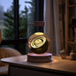 Crystal Ball Cosmic Dinosaur Indoor Night Light USB Power Warm Bedside Light Birthday Gift Night Lamp - Rankz 