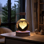 Crystal Ball Cosmic Dinosaur Indoor Night Light USB Power Warm Bedside Light Birthday Gift Night Lamp - Rankz 
