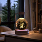 Crystal Ball Cosmic Dinosaur Indoor Night Light USB Power Warm Bedside Light Birthday Gift Night Lamp - Rankz 