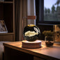 Crystal Ball Cosmic Dinosaur Indoor Night Light USB Power Warm Bedside Light Birthday Gift Night Lamp - Rankz 