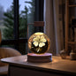 Crystal Ball Cosmic Dinosaur Indoor Night Light USB Power Warm Bedside Light Birthday Gift Night Lamp - Rankz 