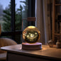 Crystal Ball Cosmic Dinosaur Indoor Night Light USB Power Warm Bedside Light Birthday Gift Night Lamp - Rankz 