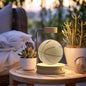 Crystal Ball Cosmic Dinosaur Indoor Night Light USB Power Warm Bedside Light Birthday Gift Night Lamp - Rankz 