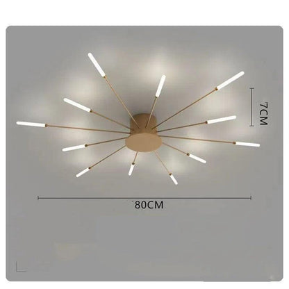 Ceiling Room Light With Special Iron Decoration - Rankz 