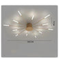 Ceiling Room Light With Special Iron Decoration - Rankz 