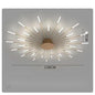 Ceiling Room Light With Special Iron Decoration - Rankz 