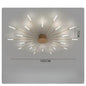 Ceiling Room Light With Special Iron Decoration - Rankz 