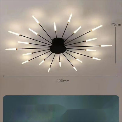 Ceiling Room Light With Special Iron Decoration - Rankz 