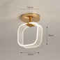 Creative Light Luxury Net Red Line Guide Ceiling Porch Lamp - Rankz 