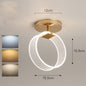 Creative Light Luxury Net Red Line Guide Ceiling Porch Lamp - Rankz 