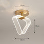 Creative Light Luxury Net Red Line Guide Ceiling Porch Lamp - Rankz 