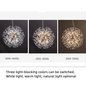 Dandelion Crystal Chandelier Restaurant Bedroom Clothing Shop Lighting - Rankz 