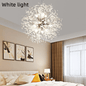 Dandelion Crystal Chandelier Restaurant Bedroom Clothing Shop Lighting - Rankz 