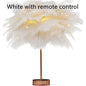 Feather Lamp Nordic Desk Lamp European-Style Bedroom Bedside Feather Table Lamp Night Light Table Lamp Decoration Modern - Rankz 