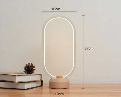 Magnetic Suspension Balance Light - Rankz 