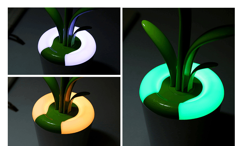 Modern Desk Lights USB Eye Protection LED Table Lamp For Living Room Bedroom and Tables Office - Rankz 